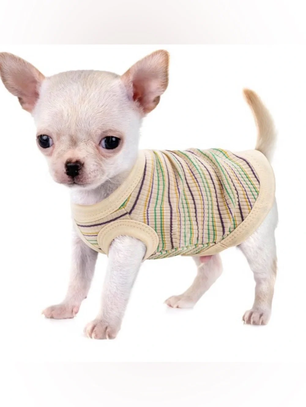 Cream ribbed striped dog tank